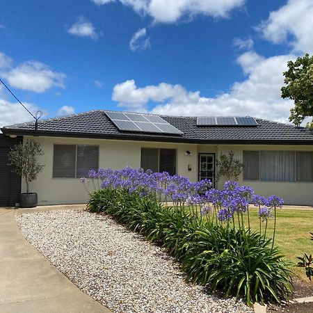 Para House, Tanunda. In The Heart Of The Barossa Valley!. Villa Esterno foto